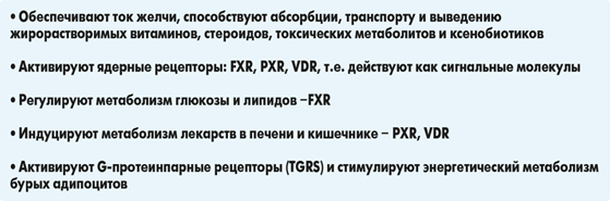 Патогенез механической желтухи. Ток желчи. Печеночные протоки схема. Исходы механической желтухи. Схема желчно выводящих путей.